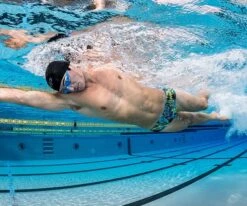 MP Boys Palm Spirit Brief - Oasis 7 MP Boys Palm Spirit Brief - Oasis -Best Swimming Equipment Elite Training Swimwear Brief Oasis 4 48461.1532412293.1280.1280 706fbe28 7ee7 4d5f 971a f454f6099063