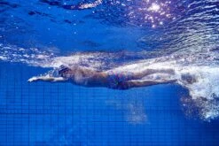 Funky Trunks Mens Training Jammers - Panel Pop 13 Funky Trunks Mens Training Jammers - Panel Pop -Best Swimming Equipment FT37M PANEL POP L4