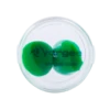 Vorgee Ear Putty - Green -Best Swimming Equipment edf871994e3af25f244fae96b094fc4f972c91d5